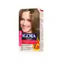 Igora Tinte Vital Rubio Mediano Cenizo Intenso 7-11 100 mL