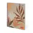 Scribe Cuaderno Multimaterias 160 Hojas Rayado