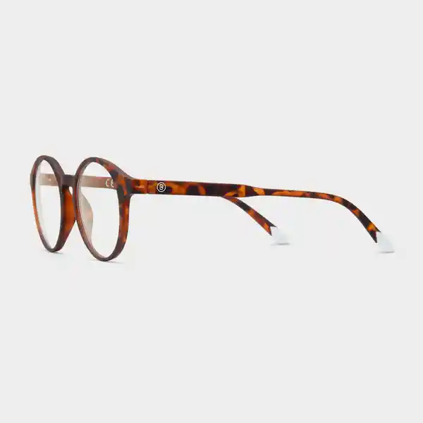 Barner Gafas Reading Marais Carey + 3.00