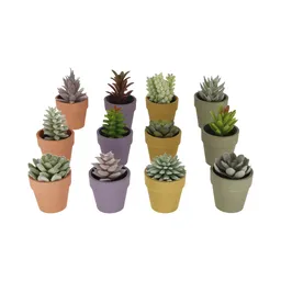 Maceta Cactus Colores S Diseño 0002