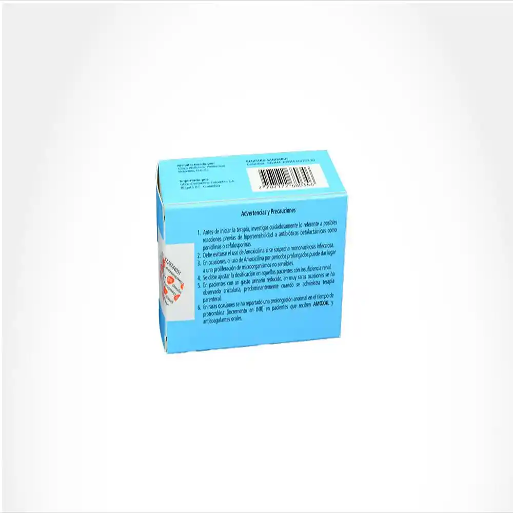 Amoxal Capsula (500 mg)