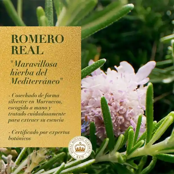 Herbal Essences Acondicionador Rosemary & Herbs