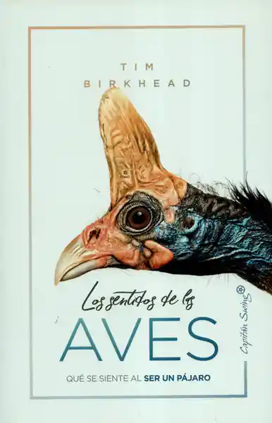 Los Sentidos de Las Aves. Qué se Siente al Ser un Pájaro