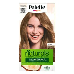 Palette Tinte Cabello Permanente Crema Natural 7-65
