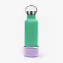 Springer Botella Mascotas Dog&Me Verde/Morado