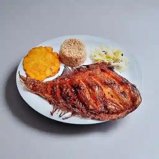 Mojarra Negra