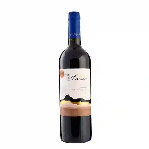 Valle Hermoso Vino Tinto Merlot