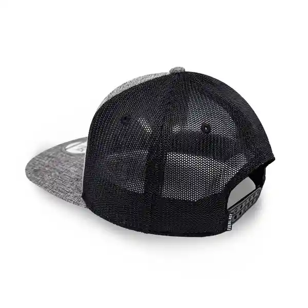 Everlast Gorra Trainer Snap Gris