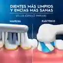 Oral B PRO Series 3 Cepillo de Dientes Eléctrico Cabezal Redondo Advanced Clean Negro