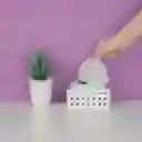 Toallita Desmaquillantes de Aceite Árbol de té Serie Miniso
