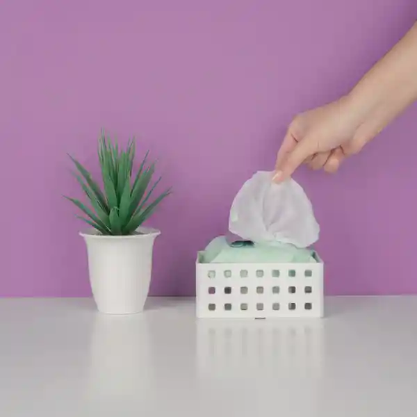 Toallita Desmaquillantes de Aceite Árbol de té Serie Miniso