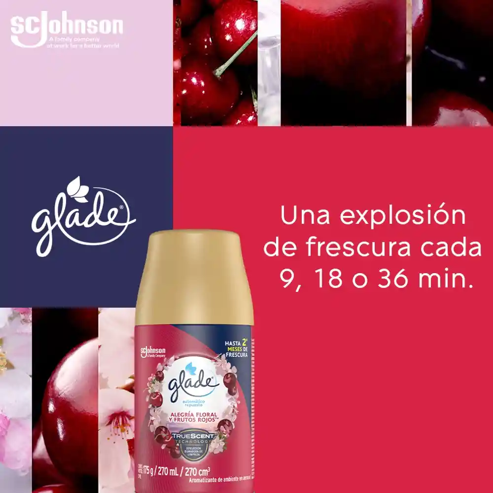 Glade Ambientador Automático en Aerosol Aroma Alegría Floral y Frutos Rojos