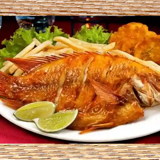Mojarra