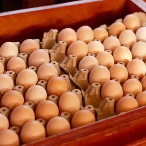 Huevos Orgánicos