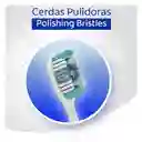 Colgate Cepillo de Dientes 360° Visible White