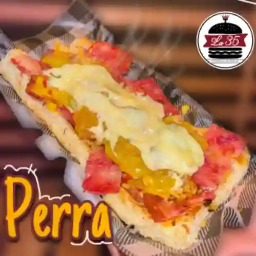 Perra