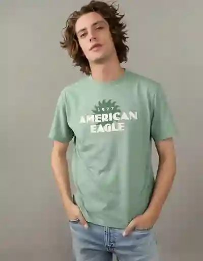 Camiseta Hombre Verde Talla Large American Eagle 01813685