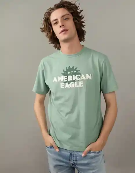 Camiseta Hombre Verde Talla Large American Eagle 01813685