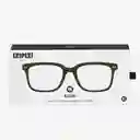 Izipizi Gafas Reading L Verde Cristal+1.0