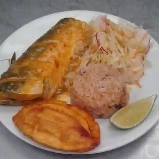 Azulejo en Salsa
