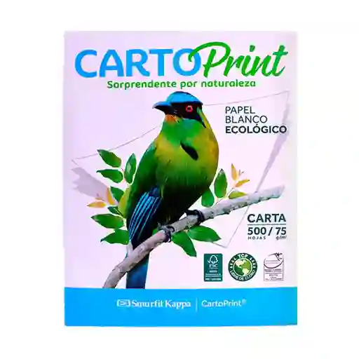 Cartoprint Resma Carta 75 g