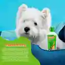 Petys Shampoo de Mascota con Repelente de Pulgas