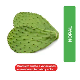 Nopal