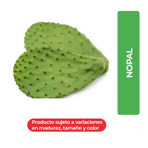 Nopal