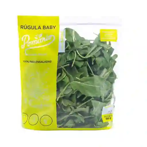 Pomario Hojas para Ensaladas de Rúgula Baby