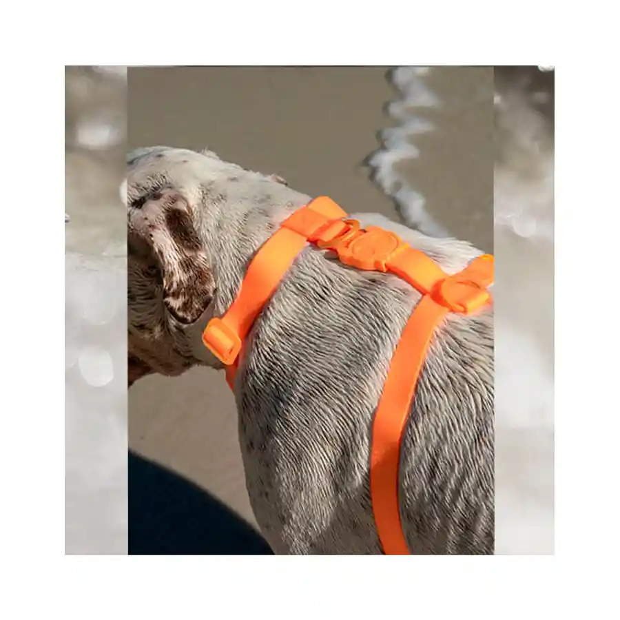 Zeedog Arnés Para Perro Neopro Tangerine Talla M