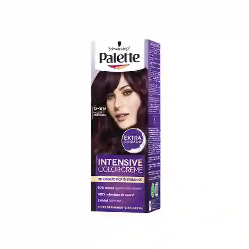 Tinte Palette Color Creme 6-99 Violeta Profundo