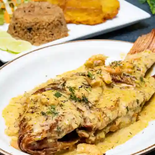 Mojarra en Salsa de Camaron