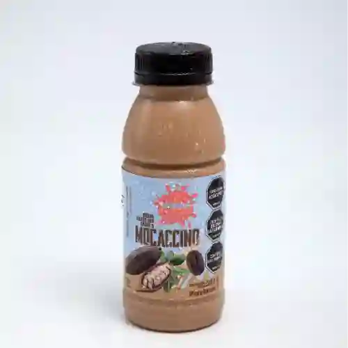Cafe Mocaccino Frio