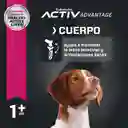 Eukanuba Alimento Para Perro Adulto Medium Breed 2 Kg