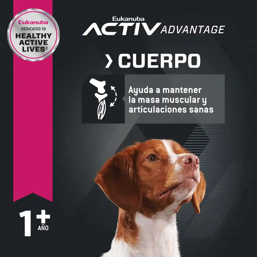 Eukanuba Alimento Para Perro Adulto Medium Breed 2 Kg