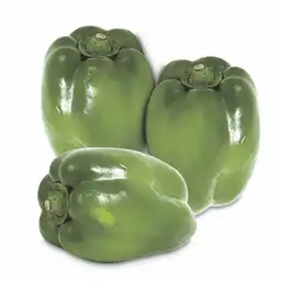 Pimentón Verde