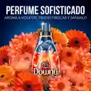 Suavizante Downy Adorable de 450mL Suavizante de Ropa Concentrado con Perfume Sofisticado Floral de Larga Duración