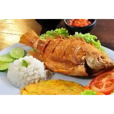 Mojarra