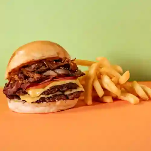 Carnivora