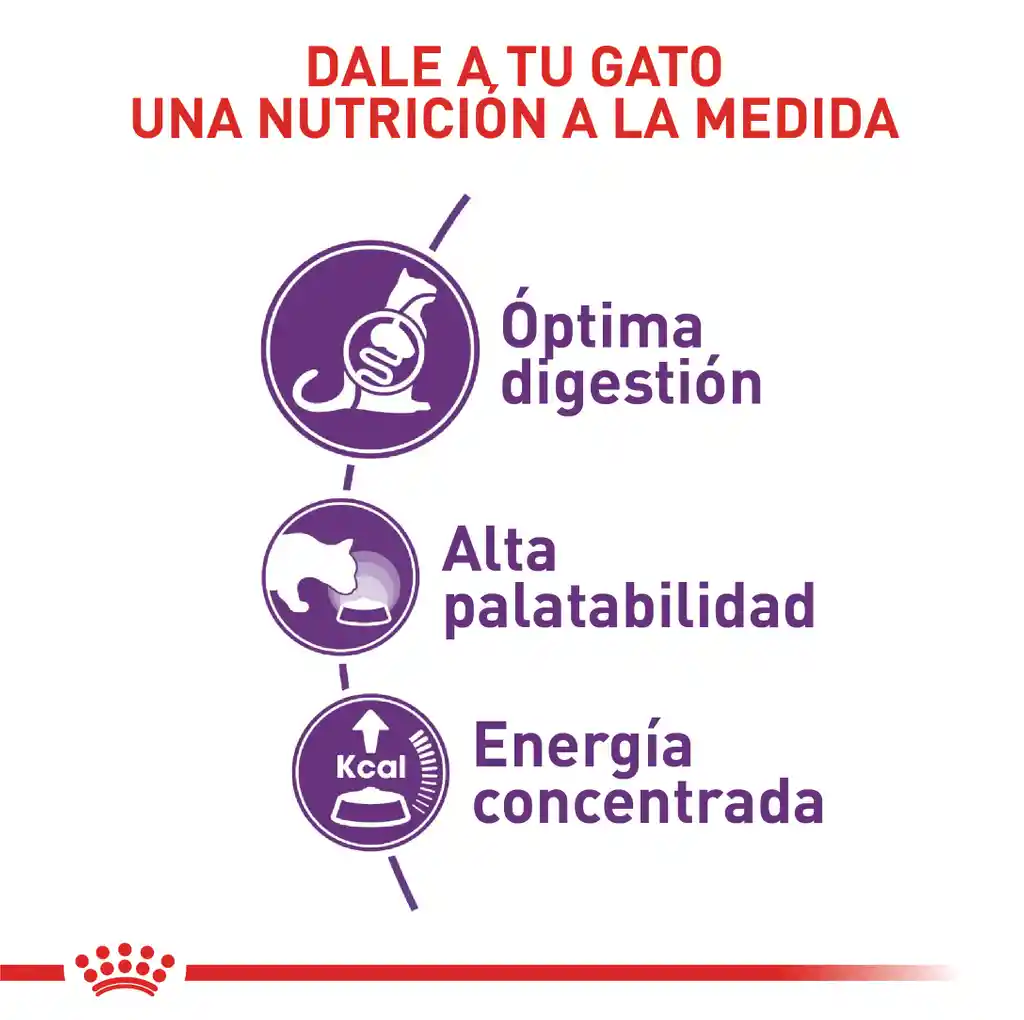 Royal Canin Alimento para Gato Adulto Sensible 33