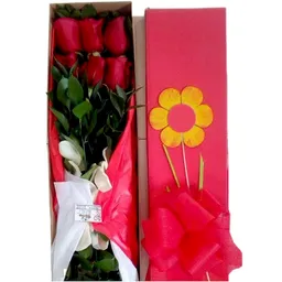 Caja 6 Rosas