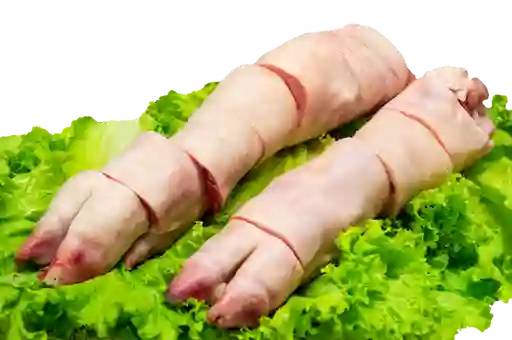Carne Cerdo Pezuña