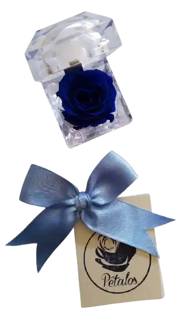 Rosa Preservada Azul en Cofre de Lujo