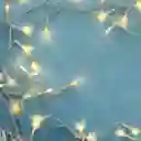 Luz Led para Cortina Blanco Cálido 1.5 m/5Ft 80 Ledcl05 Miniso