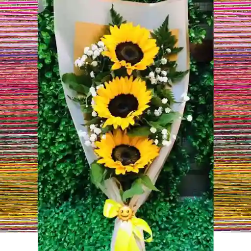 Escalera girasol
