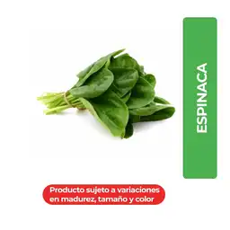 Espinaca