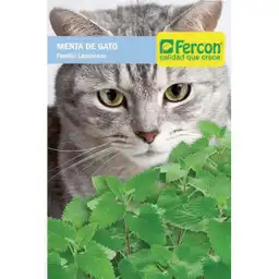 Fercon Semilla Menta Para Gatos 2220 02342220