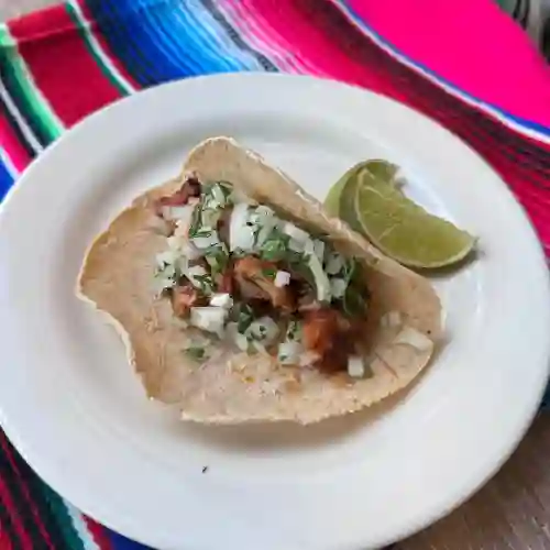 Pollo