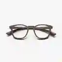 B+D Gafas Reading Dot Gris + 2.00