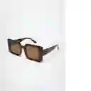 Gafas De Sol Clara Chocolate Talla 99 Mujer Mango